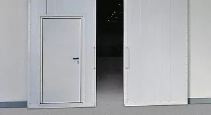 Противопожарные распашные ворота Дорхан двустворчатые